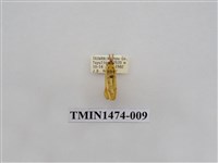 藏品(尺蠖蛾科)的圖片
